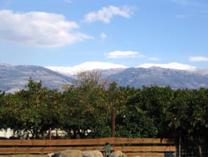 בית%20העץ%20Wood%20House%20Inn%20,%20בית%20הלל